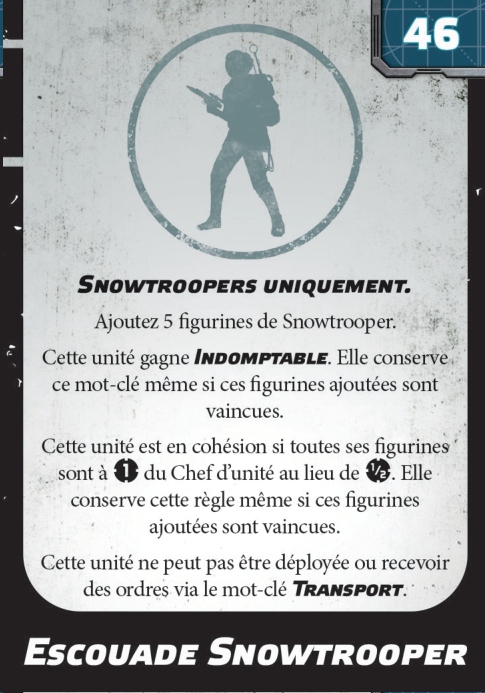 Escouade Snowtrooper