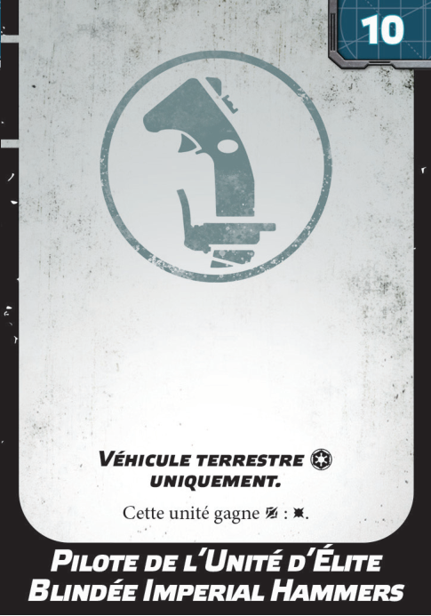 Pilote de l'Unité d'Élite Blindée Imperial Hammers