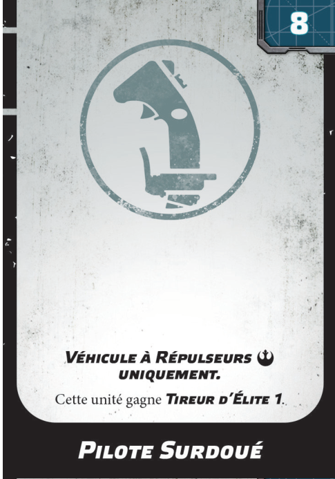Pilote Surdoué